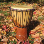 Days 365+85 jembe drum w leaves SFDS cropped