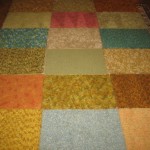 Days 365+105 Finding Homes-carpet squares SFDS