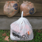 days-365132-plastic-bags